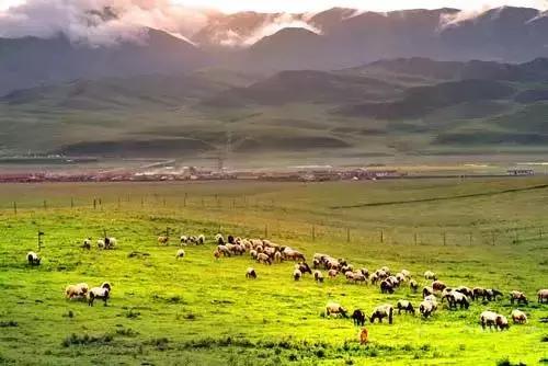 被评为亚洲十大最佳旅游地No.1！就在中国，低调得让人心疼