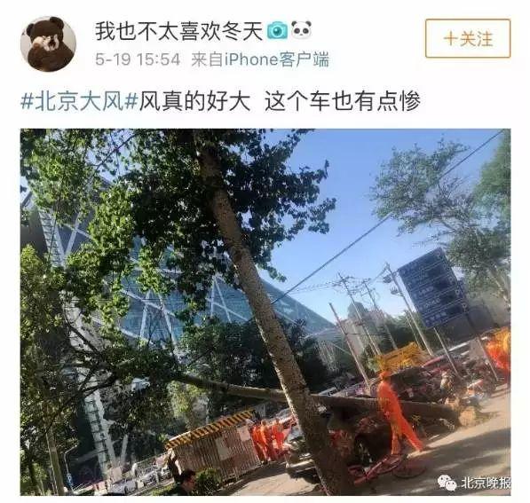 北京遭强风袭击！4人身亡 航班经历惊魂一刻