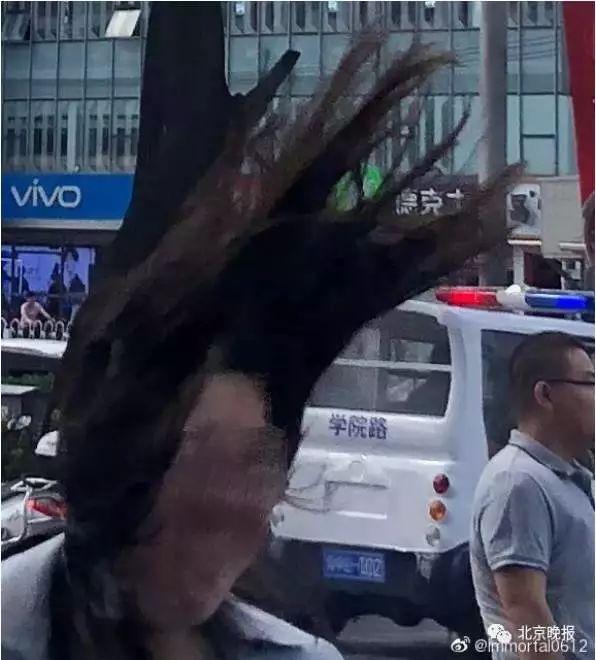 北京遭强风袭击！4人身亡 航班经历惊魂一刻